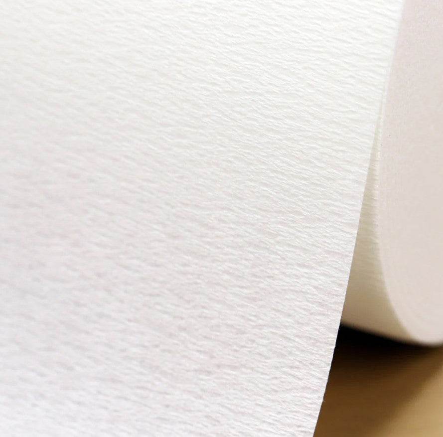 Magu Roll Fish & Meat Preservation Paper Towels (170 Rolls) - Lets Eatscape