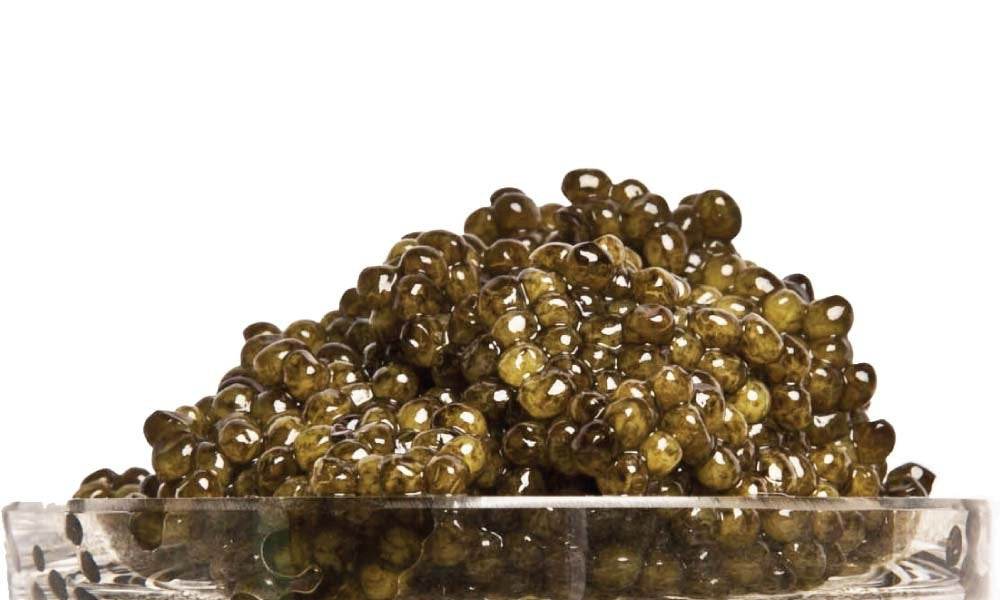 Caviar - Ossetra 28g - Lets Eatscape