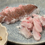 Yuzu Seabream Sashimi - Yuzu Madai (유자참돔) - Lets Eatscape