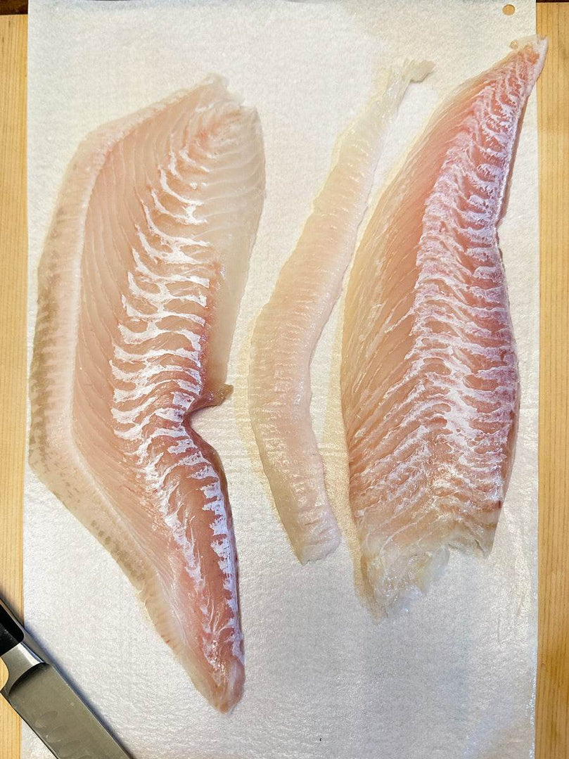 Frozen Halibut Sashimi Filet from Jeju island[제주광어] - Lets Eatscape