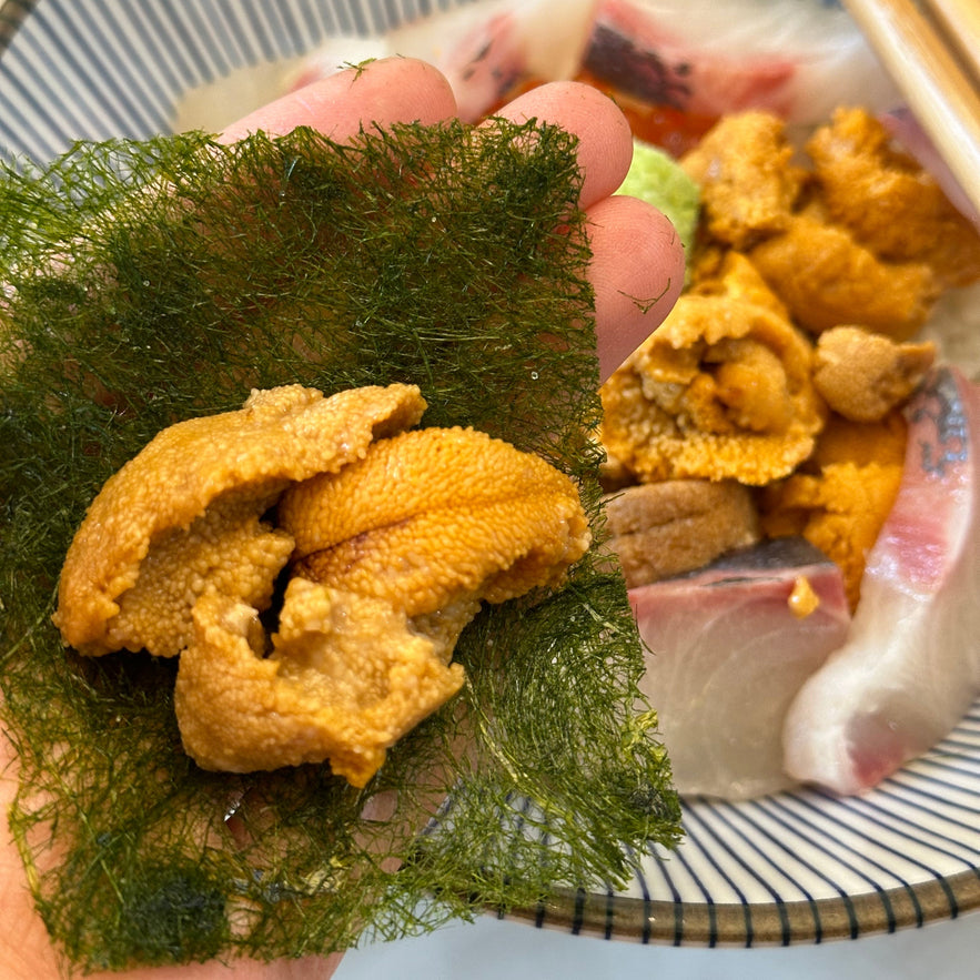 Uni (Sea Urchin-Boston) - Premium Sashimi Grade  [보스턴 우니]