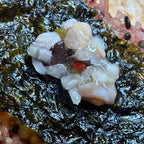 Octopus Takowasabi (오독오독문어 타코와사비) - Lets Eatscape