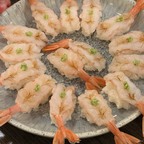 사시미용 레드쉬림프 16마리
