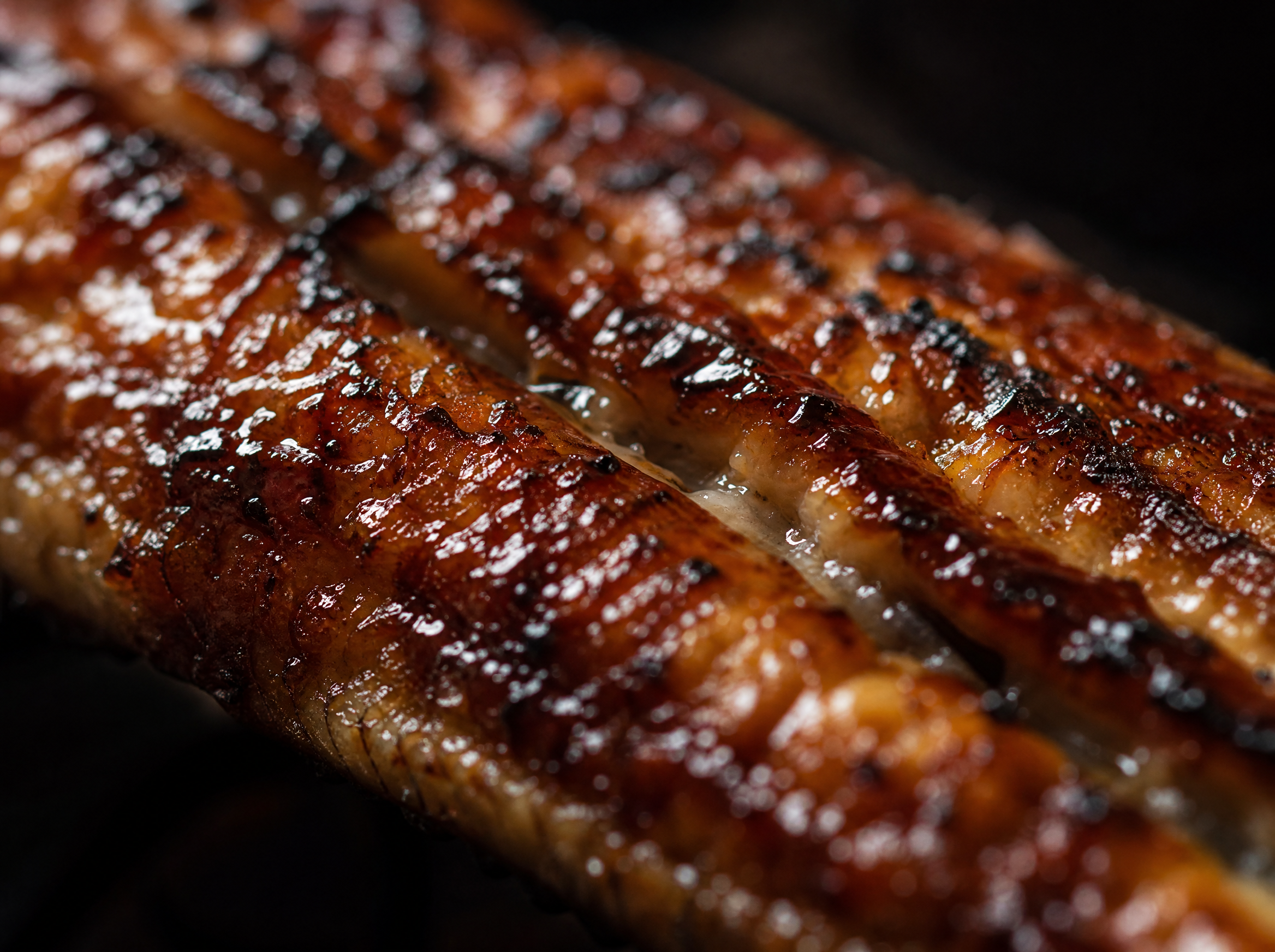 Macro close-up of grilled eel skin showing caramelized lacquer glaze and crosshatch grill marks