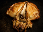 Macro close-up of grilled whole cuttlefish showing plump white flesh with golden grill marks and glistening juices