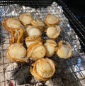Jumbo Scallops